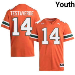 Miami of Florida College Football Youth Orange Vinny Testaverde Limited #14 Jerseys 168370-247
